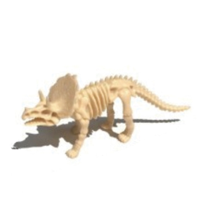 공룡화석발굴(복원)(트리케라톱스)