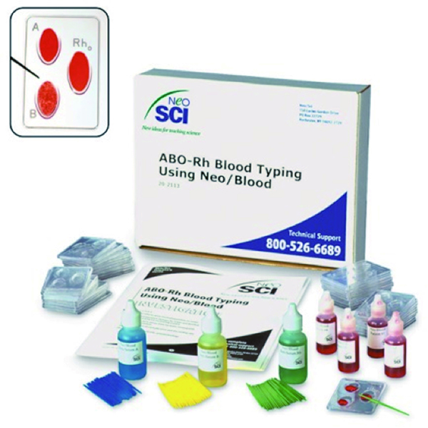 ABO-Rh혈액형실험수사