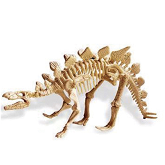 공룡화석발굴(복원)(스테고사우르스)
